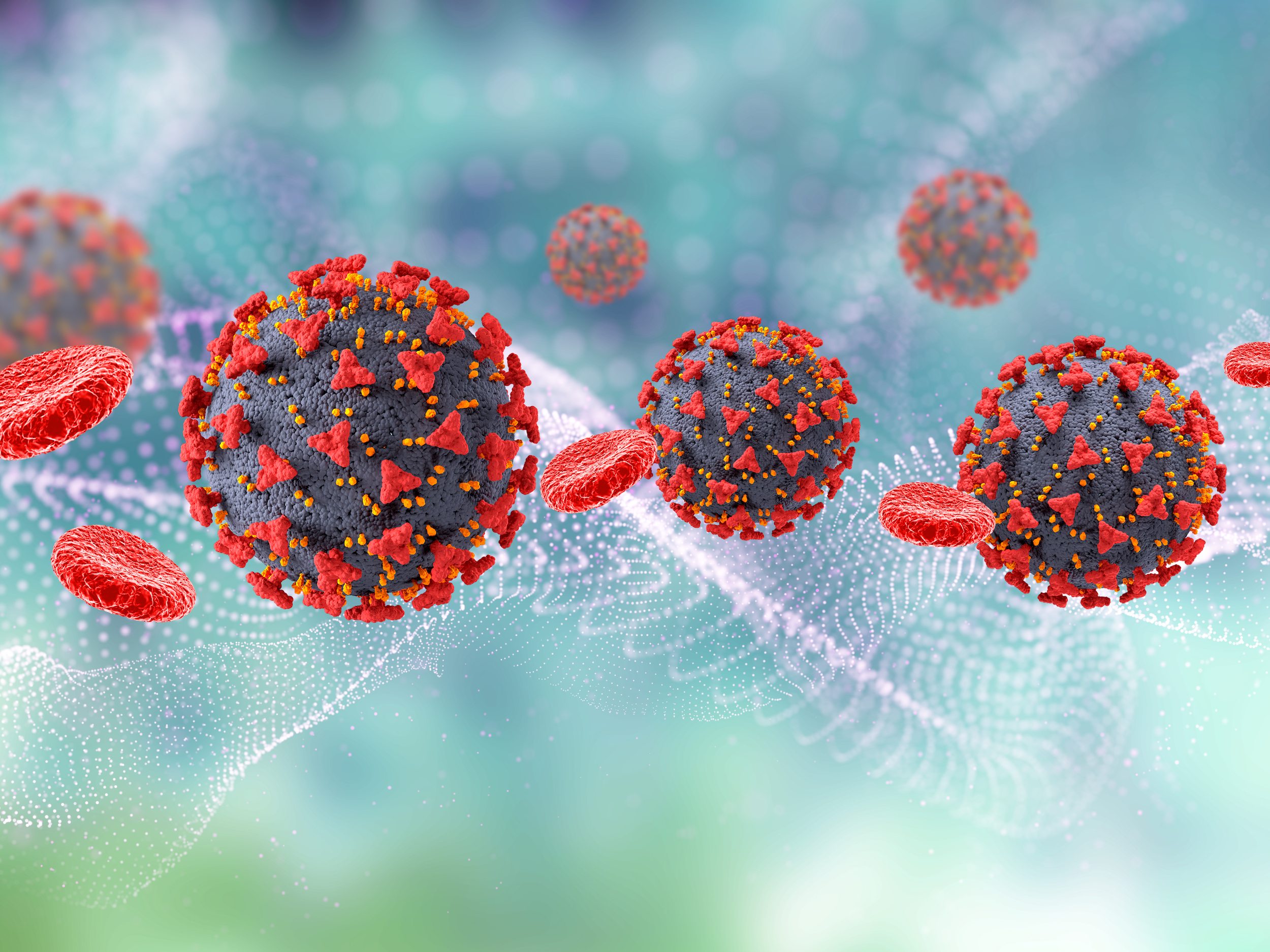 Toxoplasmose : un tandem de biomarqueurs pour diagnostiquer les infections chroniques