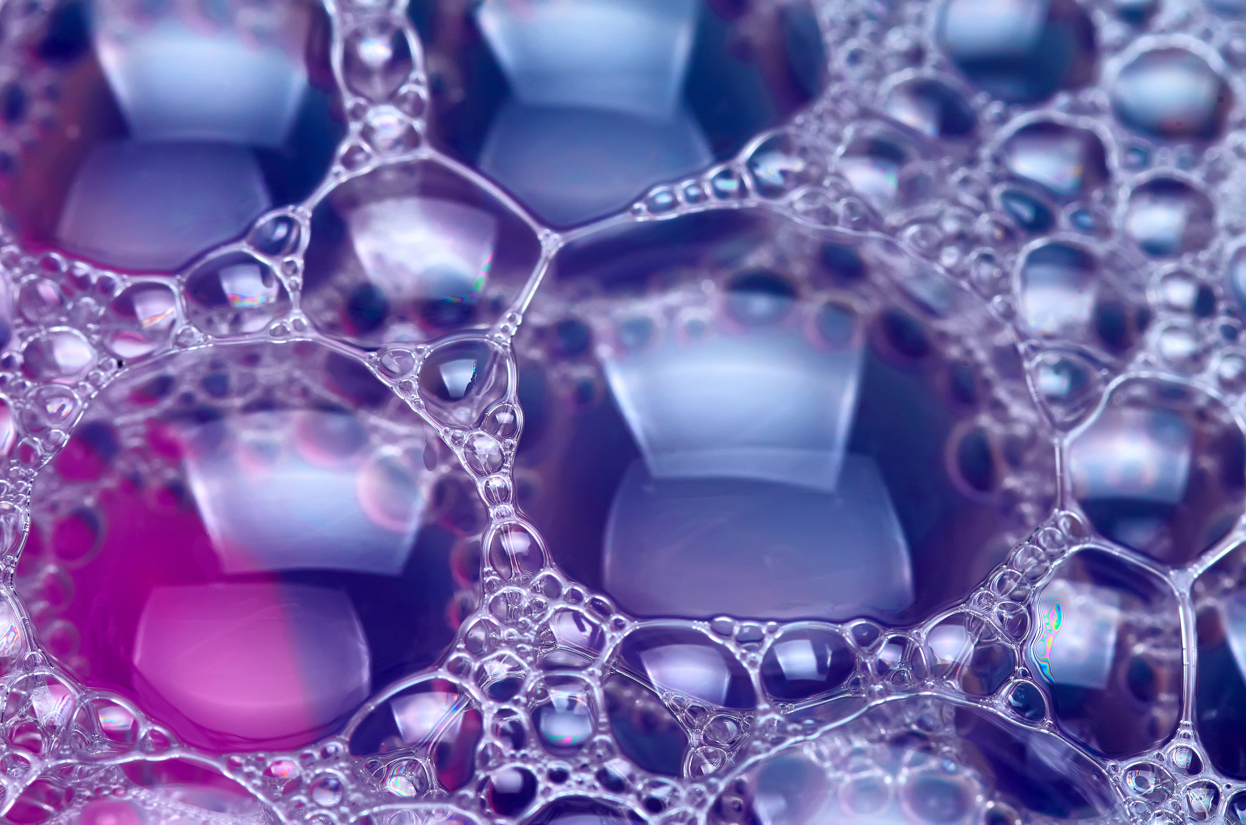 bacterie-miroirs